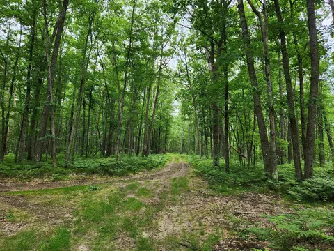 20 Penguin # A, Grayling, MI 49738 photo 16