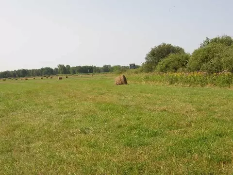 tbd W Coe #COE ROAD, Shepherd, MI 48883 photo 6