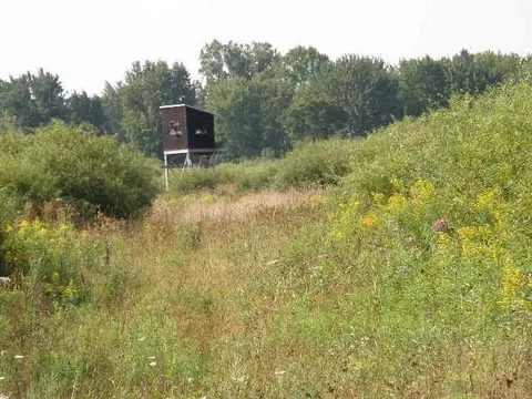 tbd W Coe #COE ROAD, Shepherd, MI 48883 photo 3