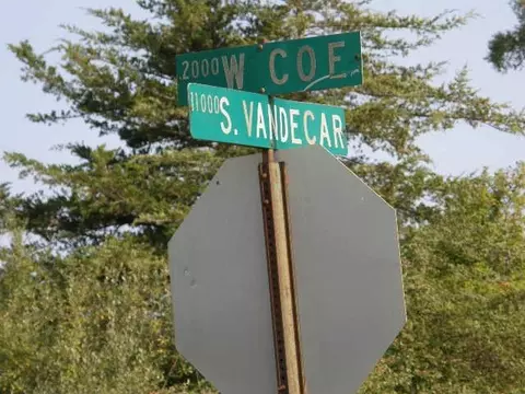 tbd W Coe #COE ROAD, Shepherd, MI 48883 photo 8