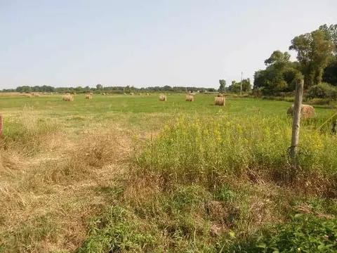 tbd W Coe #COE ROAD, Shepherd, MI 48883 photo 9