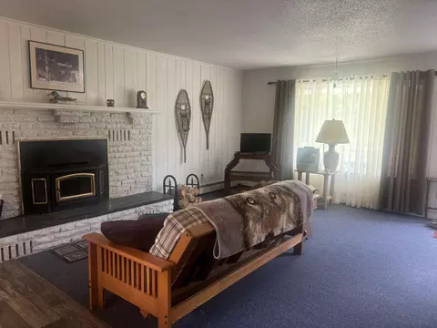 875 Vandercook, Mikado, MI 48745 photo 4