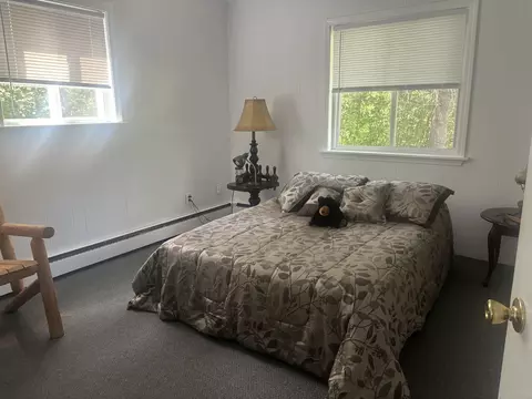 875 Vandercook, Mikado, MI 48745 photo 15