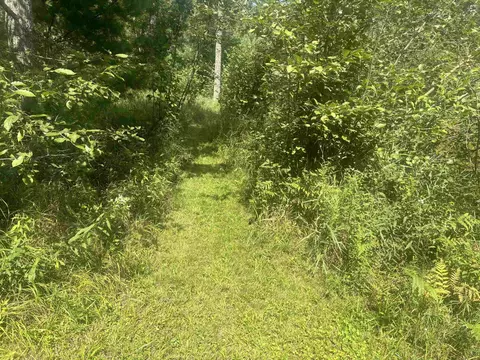 875 Vandercook, Mikado, MI 48745 photo 37