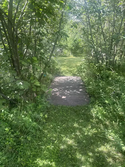 875 Vandercook, Mikado, MI 48745 photo 35