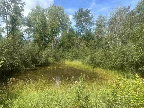 875 Vandercook, Mikado, MI 48745 photo 39