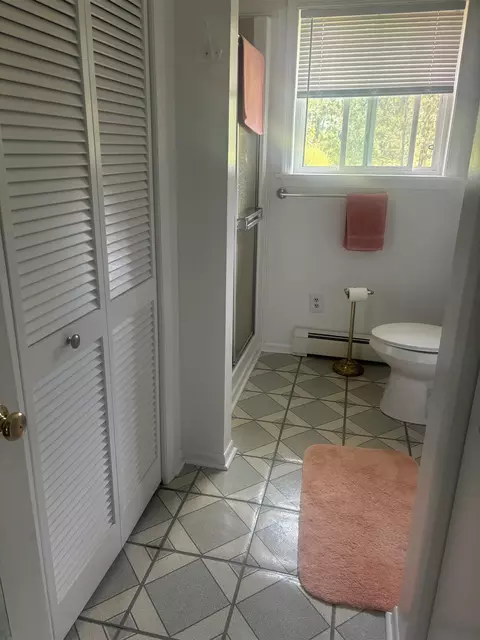 875 Vandercook, Mikado, MI 48745 photo 13