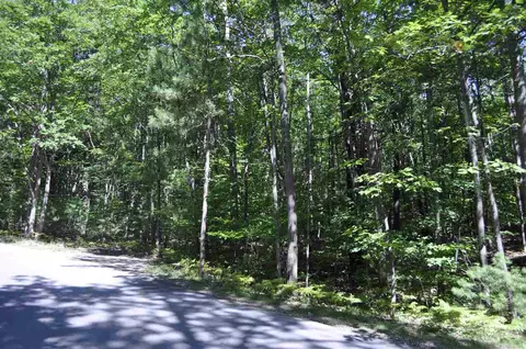10 Skippers Wood #THE HOMEAD, Glen Arbor, MI 49636