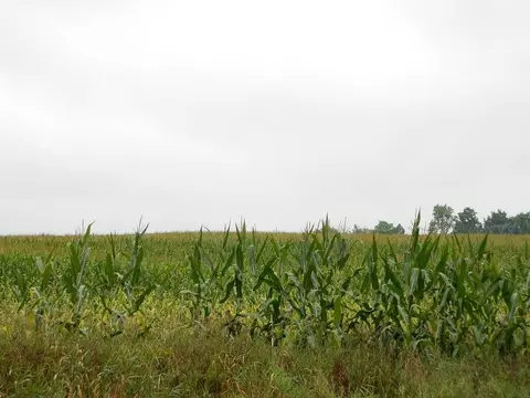 4440 W Maple Rpds, Saint Johns, MI 48879 photo 2