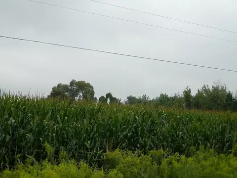 4440 W Maple Rpds, Saint Johns, MI 48879 photo 3