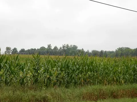4440 W Maple Rpds, Saint Johns, MI 48879