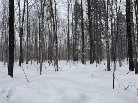 00 Dreffs Off Mccoy, Gaylord, MI 49735