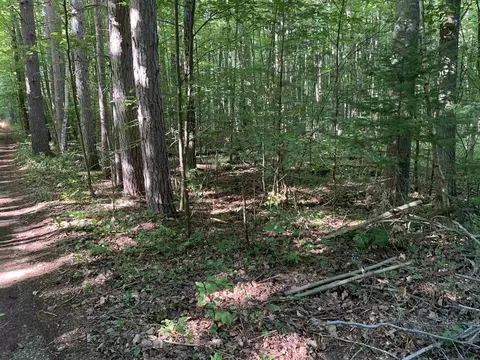 00 S Taxiway King #LOT : 86-87, Lake City, MI 49651