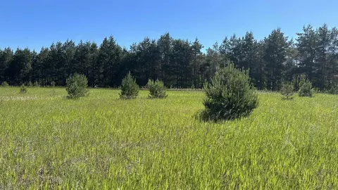 380 Kleehammer Clb #LOT : 34, Kalkaska, MI 49646