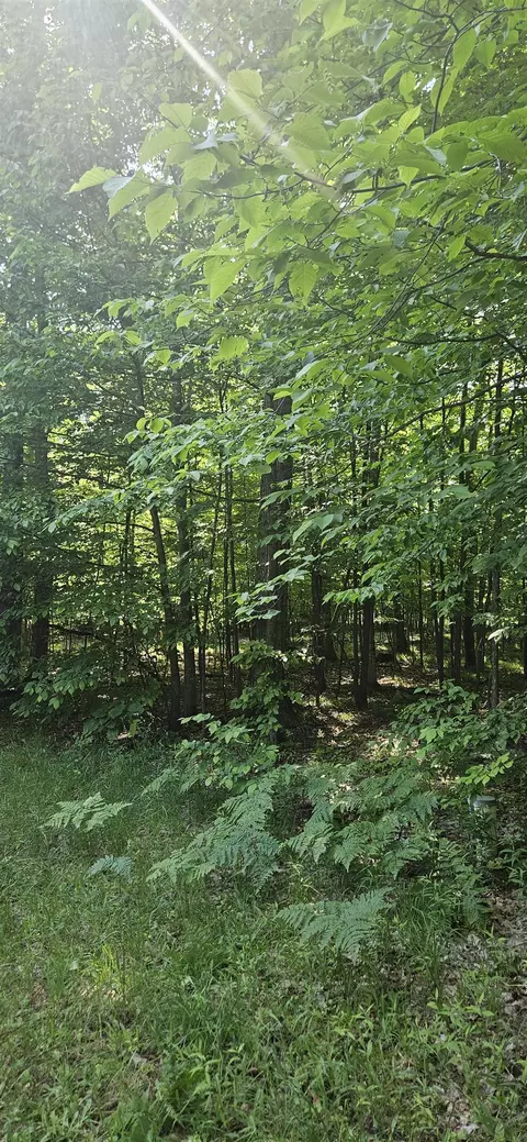 4882 Norton, Grawn, MI 49637 photo 12