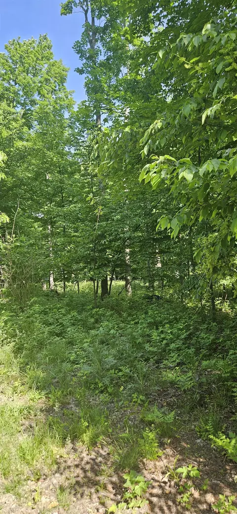 4882 Norton, Grawn, MI 49637 photo 15