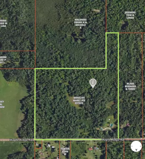 6250 Maple, Alger, MI 48610 photo 34