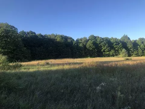 Parcel 2 Fewins, Interlochen, MI 49643 photo 6