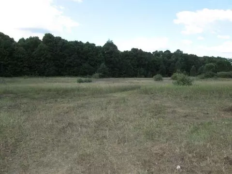 Parcel 2 Fewins, Interlochen, MI 49643 photo 8