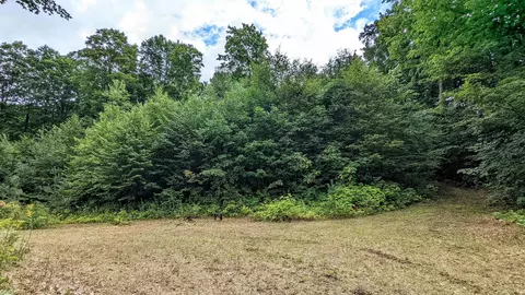 00 Cadillac, Copemish, MI 49625