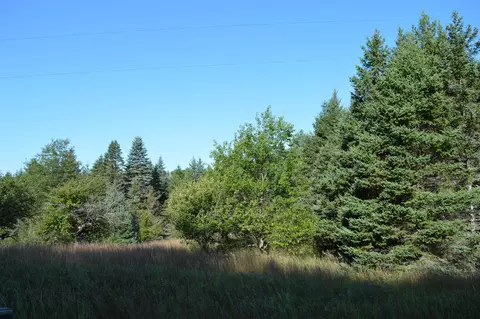 Gildas, Rapid City, MI 49676