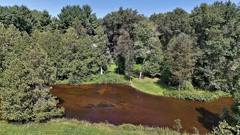 11217 Clam Riv #LOT : 3, Marion, MI 49665