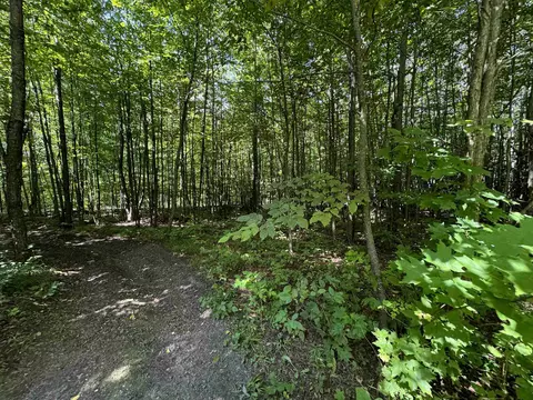 E 18, Manton, MI 49663 photo 8