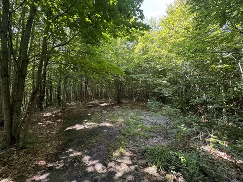 E 18, Manton, MI 49663 photo 3