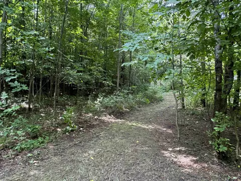 E 18, Manton, MI 49663 photo 24
