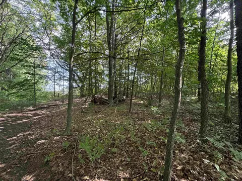 E 18, Manton, MI 49663 photo 5