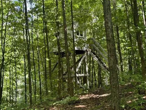 E 18, Manton, MI 49663 photo 11