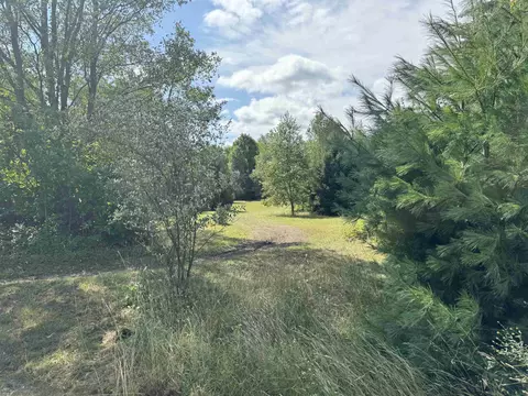 E 18, Manton, MI 49663 photo 6