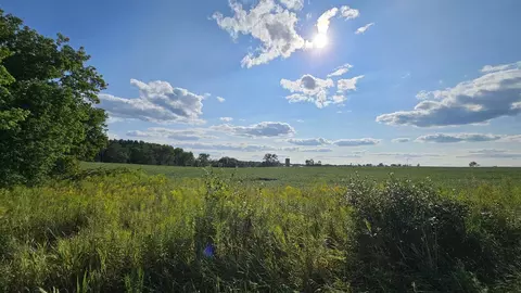 N/A Maple Ridge #ROSEBURGH, Alger, MI 48610