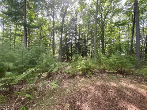 12 Deer #LOT : 29, Glen Arbor, MI 49636