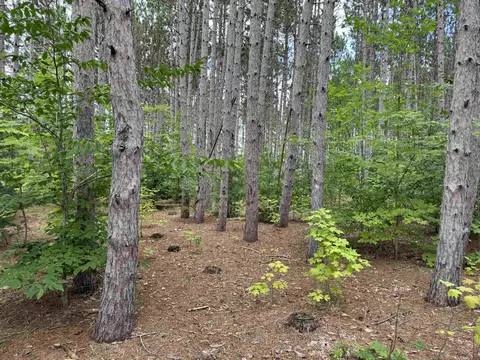 VL Pine Air #: M/B, Grawn, MI 49637