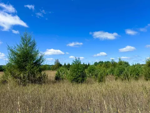 000 Psutka, Thompsonville, MI 49683