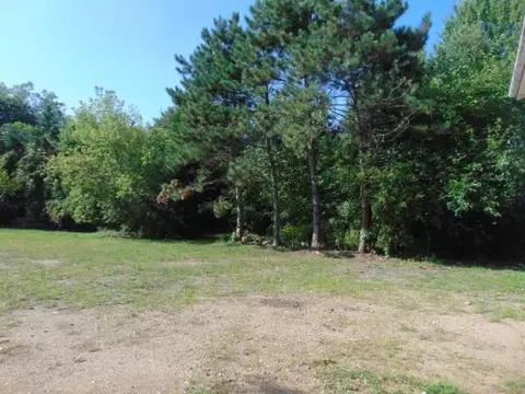 Exterior - 1335 E Grant, Ithaca, MI 48847 photo 6 of 9