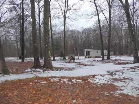 10459 Edgar, Vestaburg, MI 48858