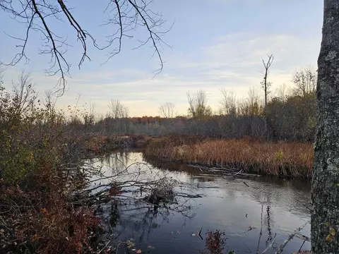 020 Diamond Park, Interlochen, MI 49643