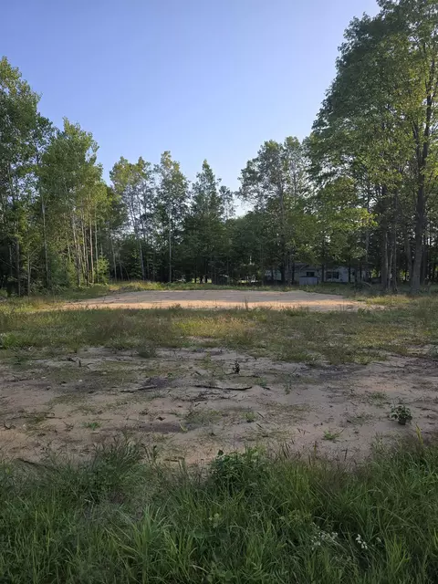 lot261 Ottawa #LOT : 261 : 261, Buckley, MI 49620