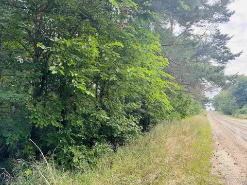 E 18 1/2, Manton, MI 49663 photo 5
