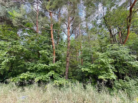 E 18 1/2, Manton, MI 49663 photo 7