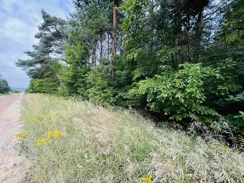 E 18 1/2, Manton, MI 49663 photo 6