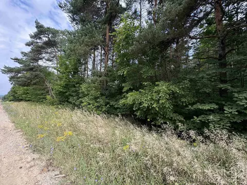 E 18 1/2, Manton, MI 49663 photo 3