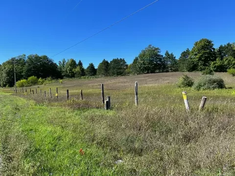 0 E Lincoln, Cedar, MI 49621