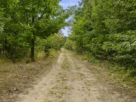 1473 N Lamb, Interlochen, MI 49643 photo 15