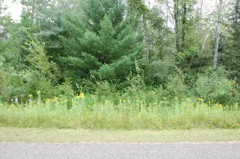0 Crawford #LOT : 29, West Branch, MI 48661