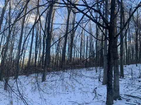 V/l Cameron Bridge, Frederic, MI 49733 photo 6