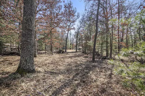 5528 W Wingleton, Baldwin, MI 49304 photo 13