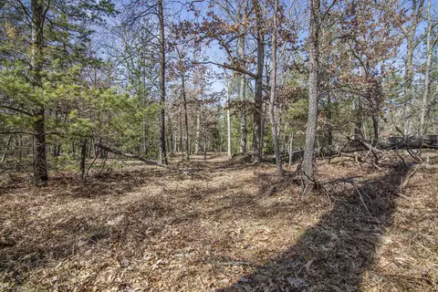 5528 W Wingleton, Baldwin, MI 49304 photo 14